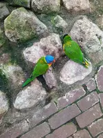 IMG_20220909_150450.webp