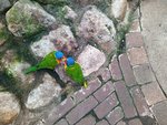 IMG_20220909_150434_1.jpg