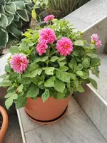 IMG_20220912_180551.webp