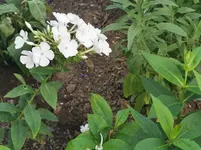 IMG_20220912_180709.webp