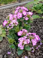 IMG_20220912_180838.webp