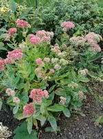 IMG_20220912_180745.webp