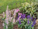 IMG_20220912_180820.jpg