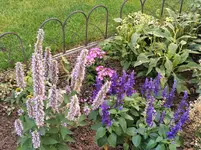 IMG_20220912_180820.webp