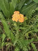 IMG_20220912_180857.webp