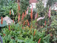IMG_20220912_181058.webp