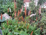 IMG_20220912_181058.jpg