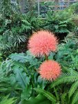 IMG_20220909_145358.jpg