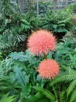 IMG_20220909_145358.webp