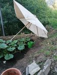 IMG_20220724_183643.jpg