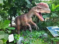 IMG_20220909_144741_3.webp
