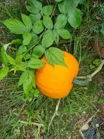 20220913_140508.webp