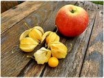 Apfel und Physalis.jpg