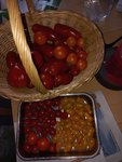 20220914_075040.jpg