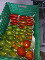 20220914_075101.webp