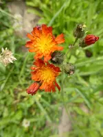 P1130200.webp