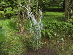 BILD0461.JPG