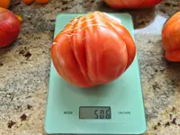 20220915_113648.webp