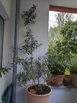 PXL_20220916_062534002.MP.jpg