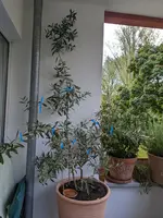 PXL_20220916_062534002.MP.webp PXL_20220916_062534002.MP.webp