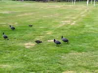 IMG_20220915_151016.jpg