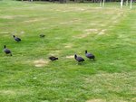 IMG_20220915_151016.jpg