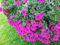 IMG_20220915_151811_1.jpg