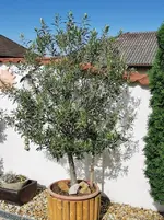 IMG_20220913_152512.webp IMG_20220913_152512.webp