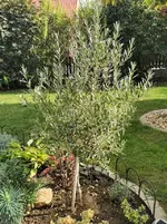 IMG_20220913_152440.webp IMG_20220913_152440.webp