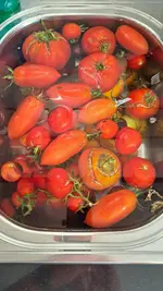 20220917_112337.webp