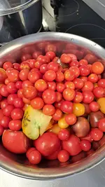 20220917_121206.webp