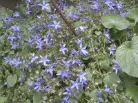 BILD0101.webp