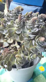 20220918_160224.webp