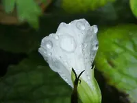 DSCF3120 (2).webp