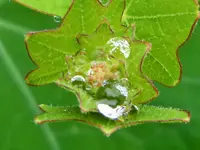DSCF3124 (2).webp