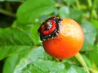 DSCF3127 (2).webp