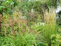 DSCF3114 (2).webp