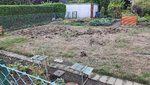 Waschbärschäden2022-09-16.jpg