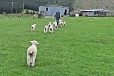 IMG_0208 - Copy.webp