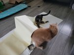 20220920_162926.jpg
