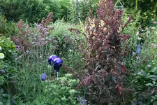 August     0722.webp
