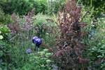 August     0722.JPG