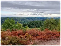 Langmühler Aussicht 1.webp