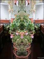 c033.webp