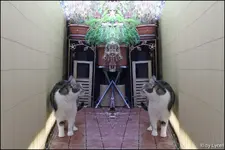 c034.webp