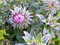 DSCF3154 (2).webp