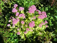 DSCF3134 (2).webp