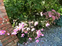 DSCF3143 (2).webp