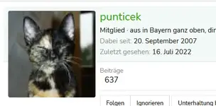 punti..webp