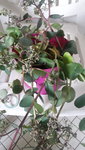 20220920_164355.jpg